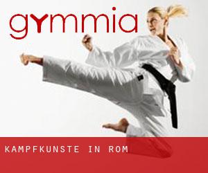 Kampfkünste in Rom Kampfkünste in Rom