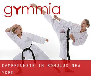 Kampfkünste in Romulus (New York)