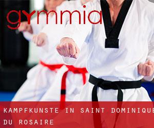 Kampfkünste in Saint-Dominique-du-Rosaire