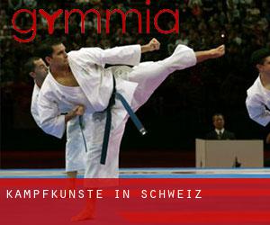 Kampfkünste in Schweiz Kampfkünste in Schweiz