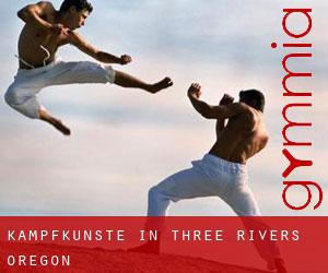 Kampfkünste in Three Rivers (Oregon)