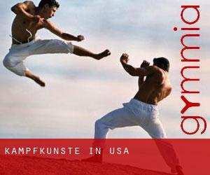 Kampfkünste in USA Kampfkünste in USA