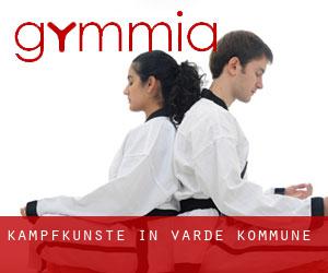 Kampfkünste in Varde Kommune