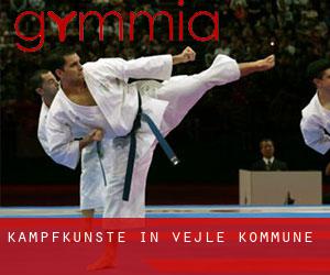 Kampfkünste in Vejle Kommune Kampfkünste in Vejle Kommune