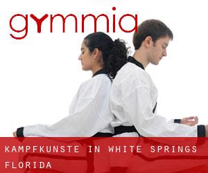 Kampfkünste in White Springs (Florida)