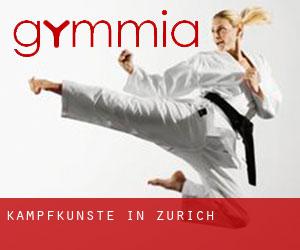 Kampfkünste in Zürich Kampfkünste in Zürich