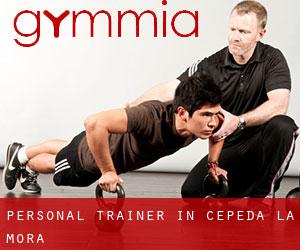 Personal Trainer in Cepeda la Mora