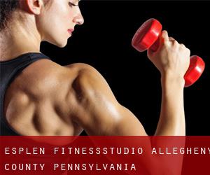 Esplen fitnessstudio (Allegheny County, Pennsylvania)