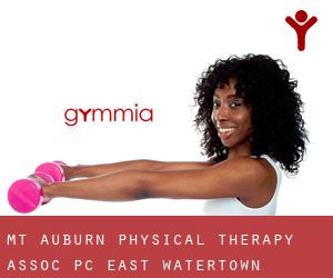 Mt Auburn Physical Therapy Assoc PC (East Watertown)