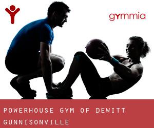 Powerhouse Gym of Dewitt (Gunnisonville)