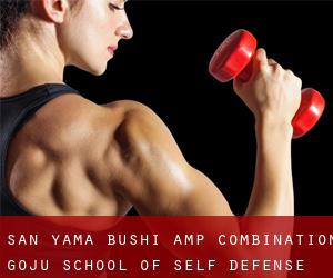 San Yama Bushi & Combination GoJu School of Self Defense (Marumsco Acres)